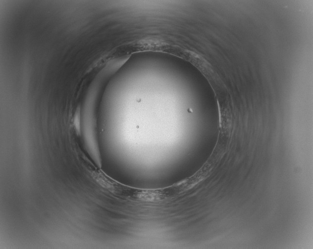 X0000073470762200608111536