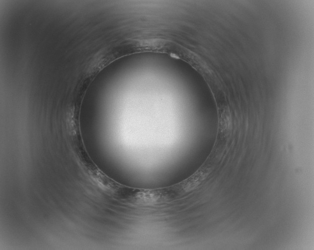 X0000073470764200608111536