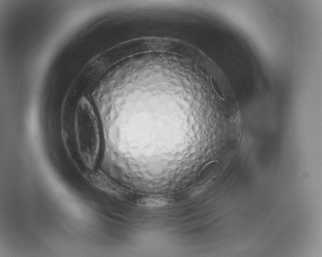 X0000073470765200608111536