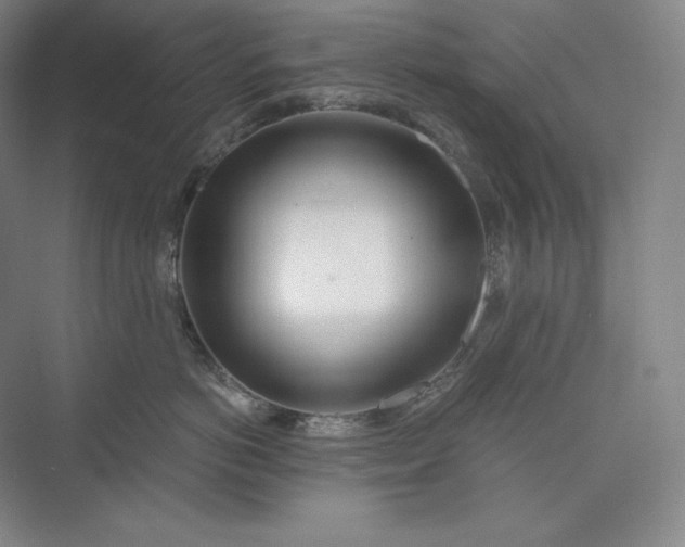 X0000073470766200608111536