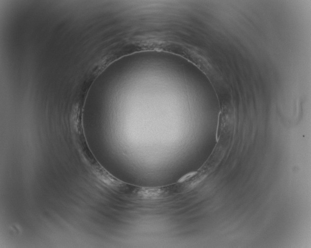 X0000073470767200608111536