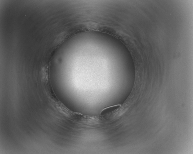 X0000073470768200608111536