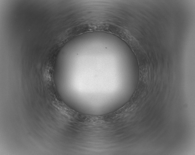 X0000073470770200608111535