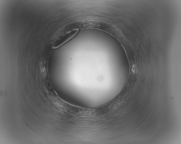 X0000073470771200608111535