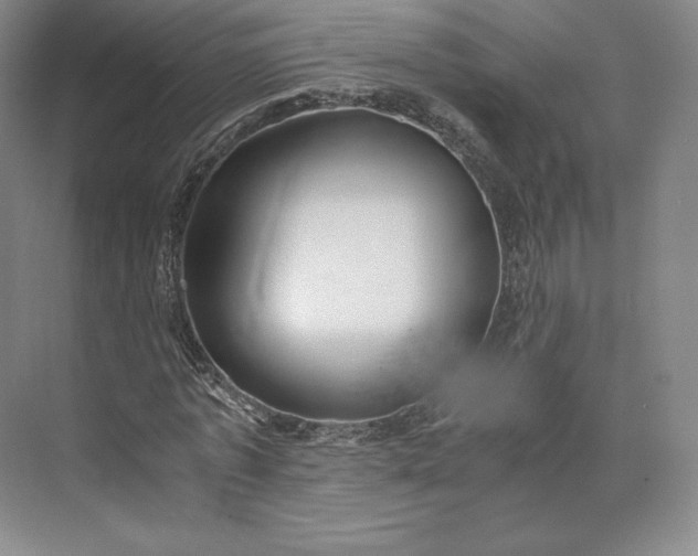 X0000073470773200608111535