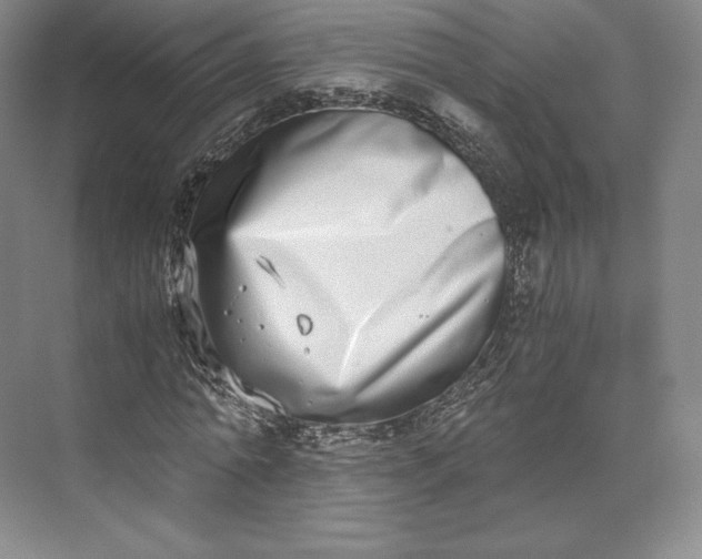 X0000073470774200608111535