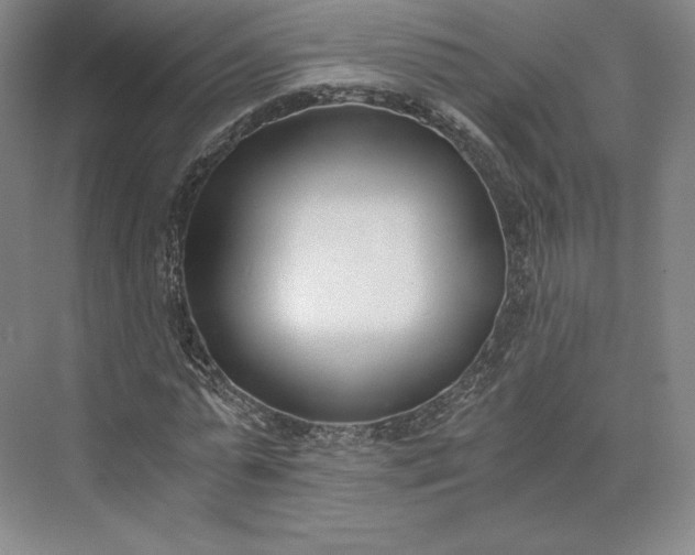 X0000073470775200608111535