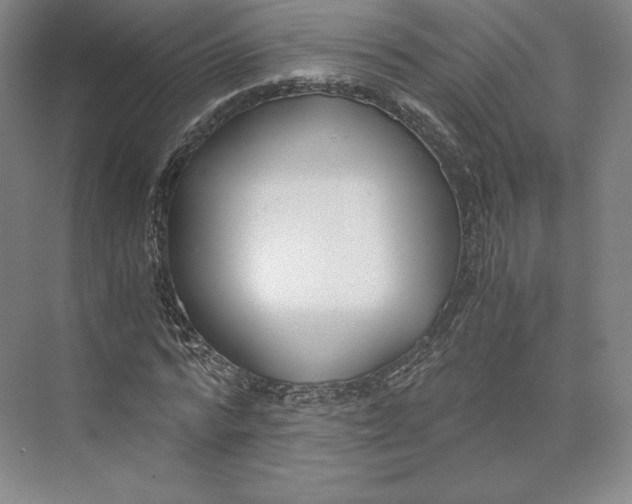 X0000073470776200608111535