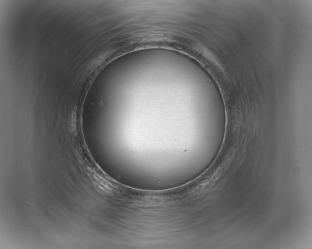 X0000073470777200608111535