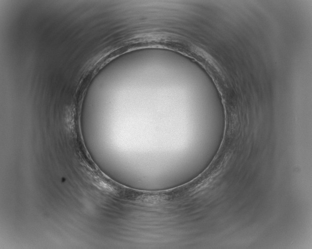 X0000073470778200608111535