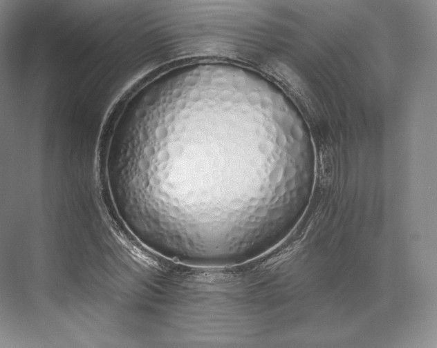 X0000073470780200608111535