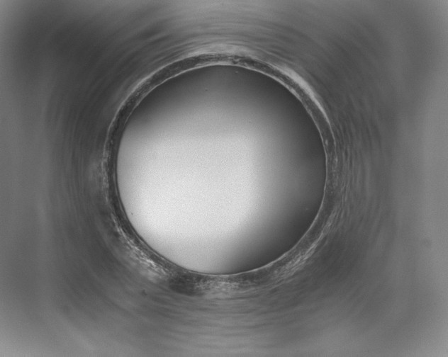 X0000073470783200608111535