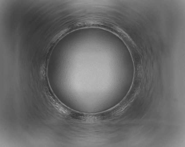 X0000073470785200608111535