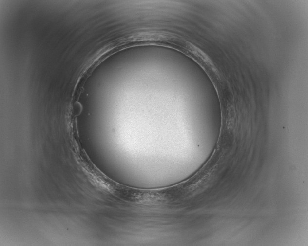 X0000073470786200608111535