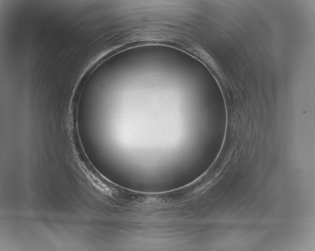 X0000073470787200608111535