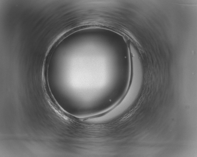 X0000073470788200608111535