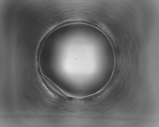 X0000073470789200608111535