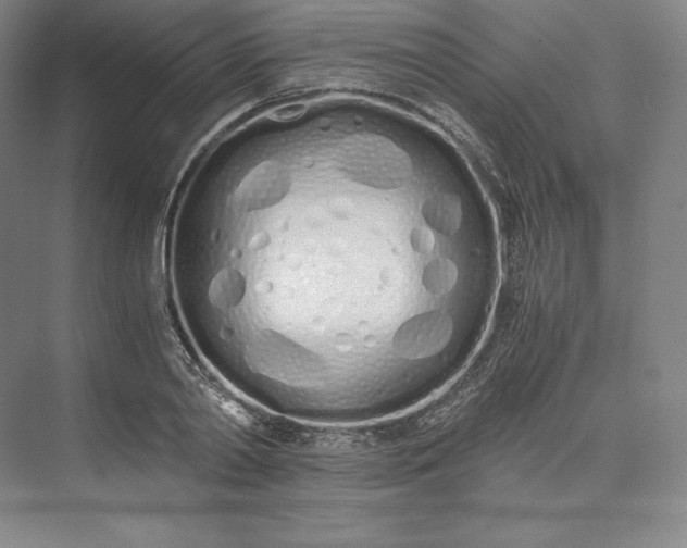 X0000073470790200608111535