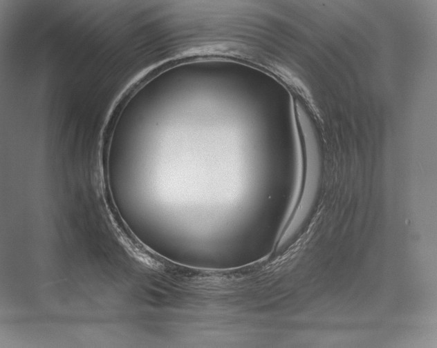 X0000073470792200608111535