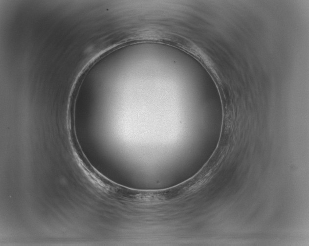 X0000073470795200608111535