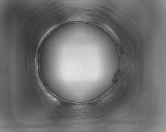 X0000073470796200608111534