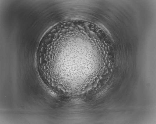 X0000073470798200608111534