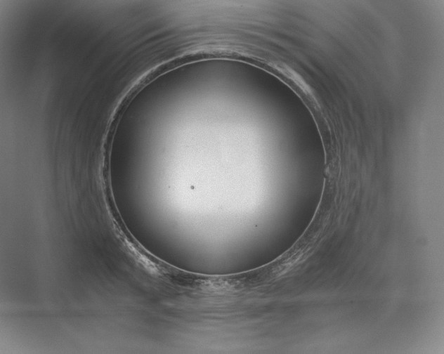 X0000073470799200608111534