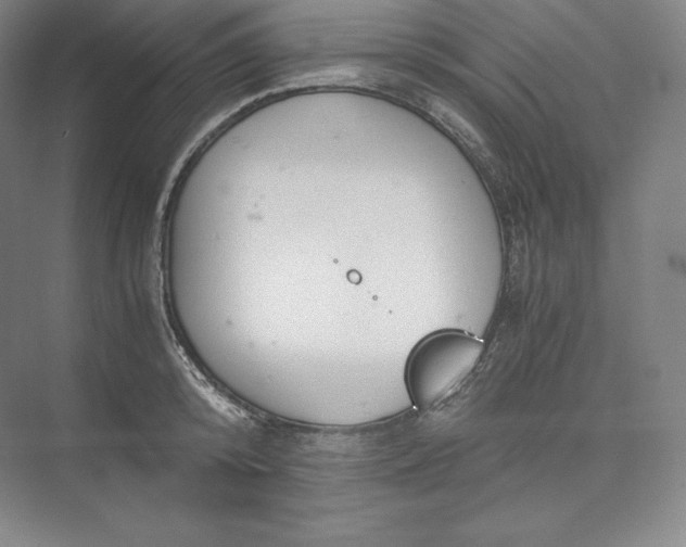 X0000073470800200608111534