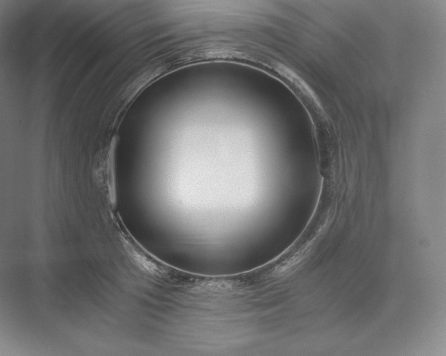 X0000073470801200608111534