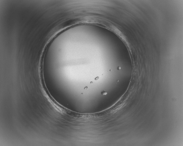 X0000073470803200608111534