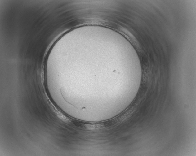 X0000073470804200608111534