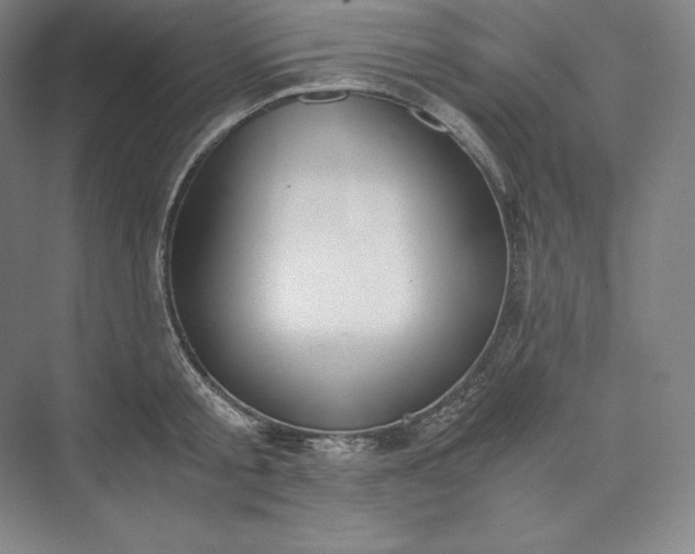 X0000073470805200608111534