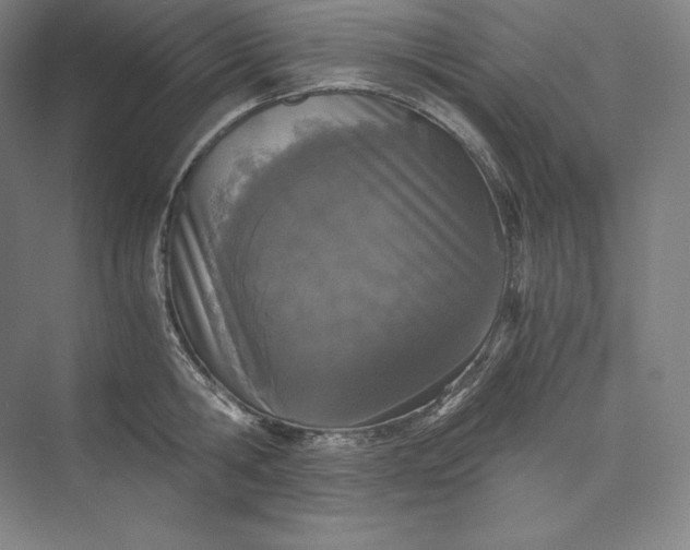 X0000073470806200608111534