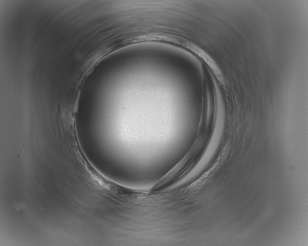 X0000073470809200608111534