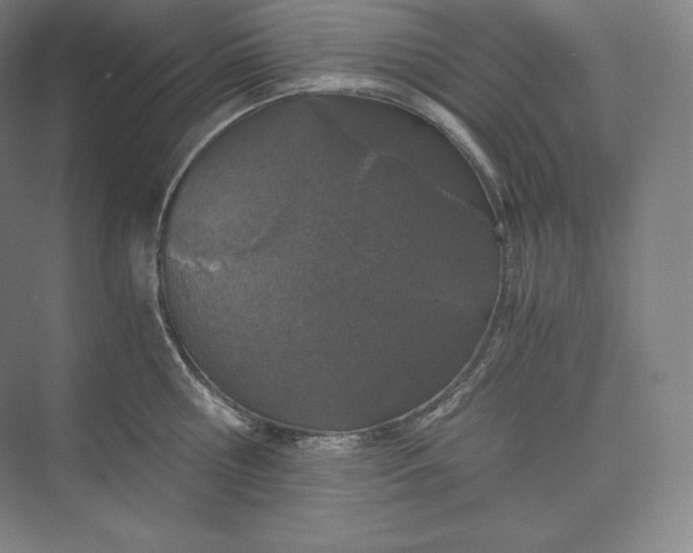 X0000073470810200608111534