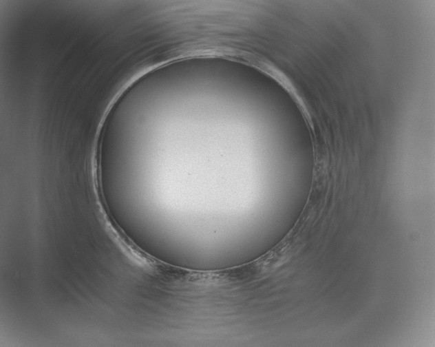 X0000073470811200608111534