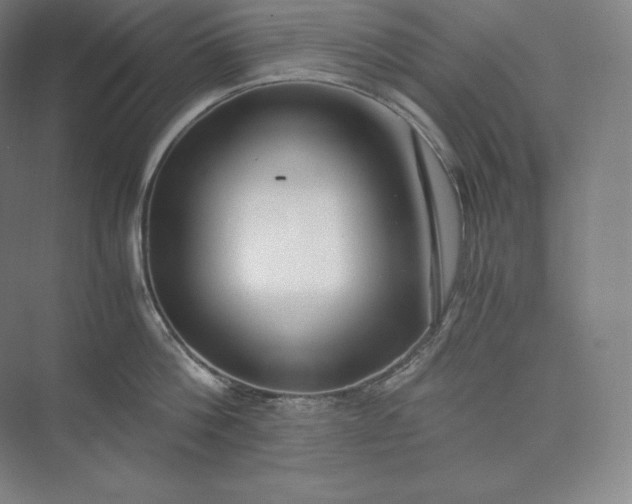 X0000073470812200608111534