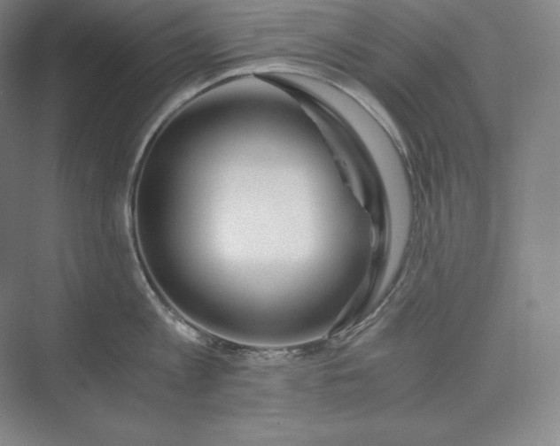 X0000073470813200608111534