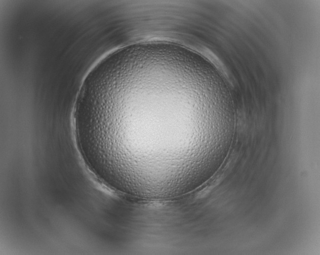 X0000073470814200608111534