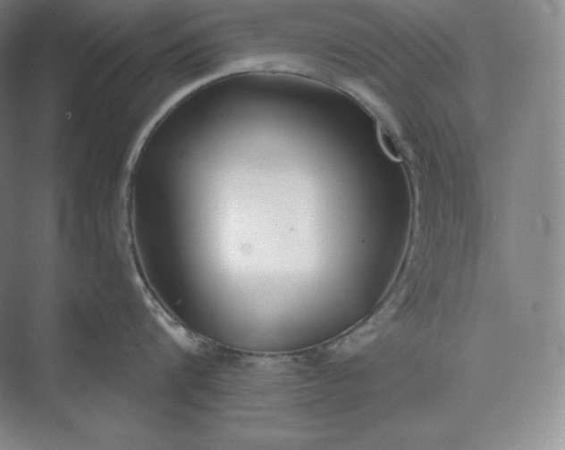 X0000073470816200608111534