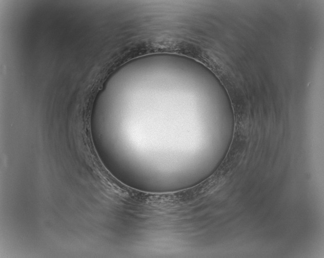 X0000073470817200608111533