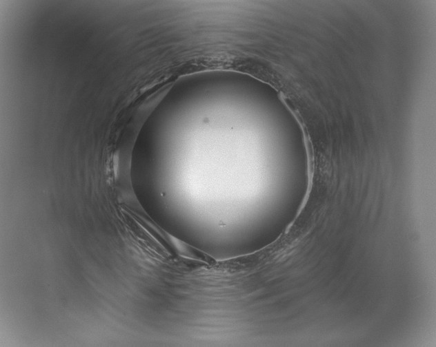 X0000073470818200608111533