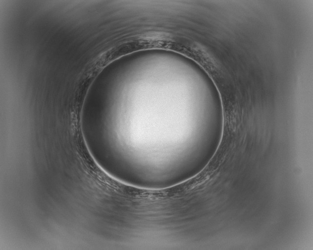 X0000073470821200608111533