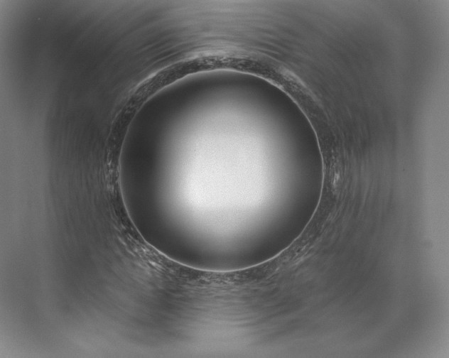 X0000073470822200608111533