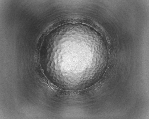 X0000073470823200608111533