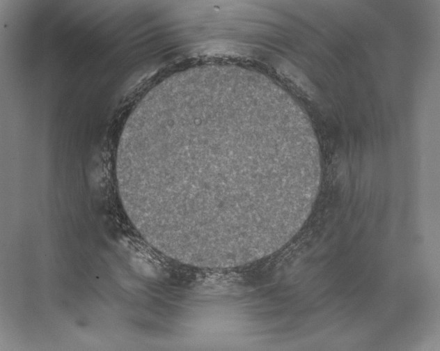 X0000073470824200608111533