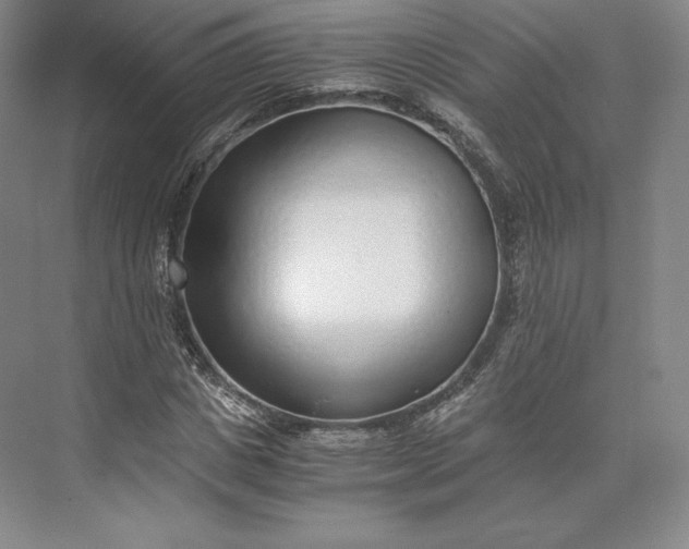 X0000073470825200608111533