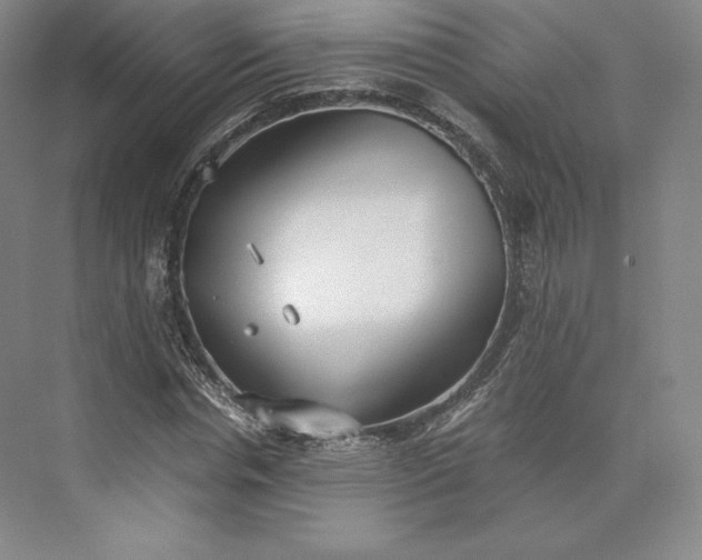 X0000073470826200608111533