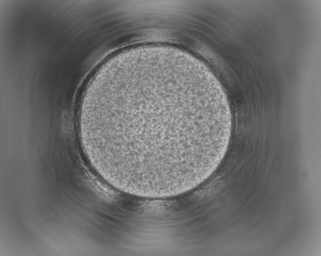 X0000073470828200608111534