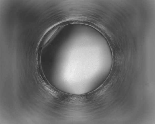 X0000073470830200608111534